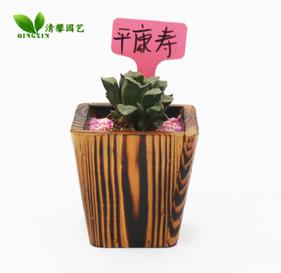 自然美学与匠心工艺的融合 碳化防腐木多肉花盆的多款选择