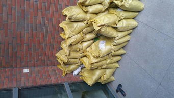 实木花盆选购与补救指南 当心爱的花盆“买大了”